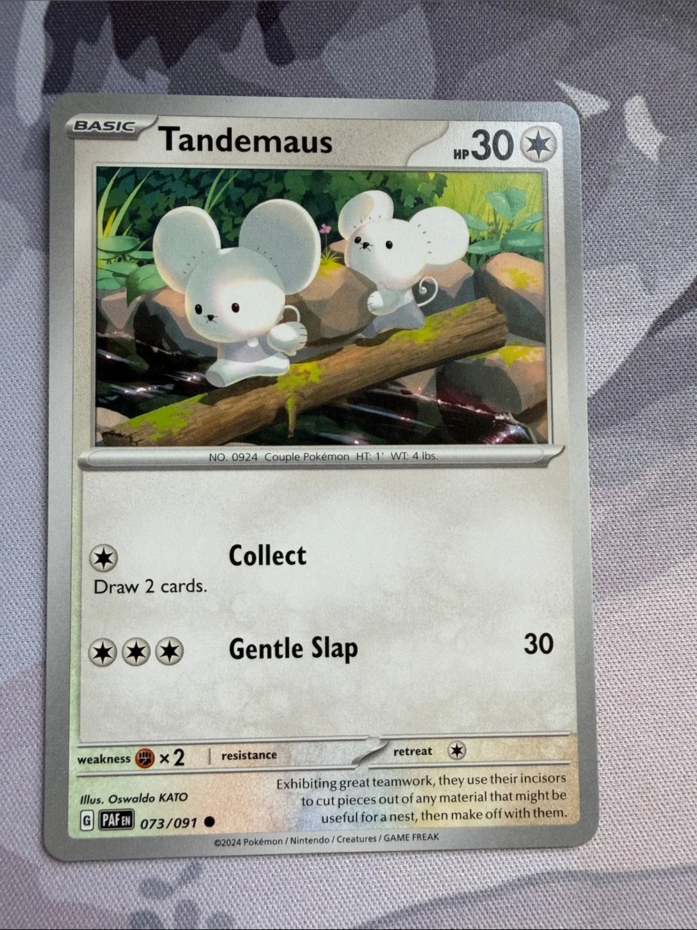 Tandemaus & Maushold Collection Lot | 3 Pokémon Cards | ✨5/$25✨